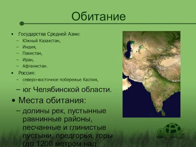 Обитание Государства Средней Азии: Южный Казахстан, Индия, Пакистан, Иран, Афганистан. Россия: северо-восточное