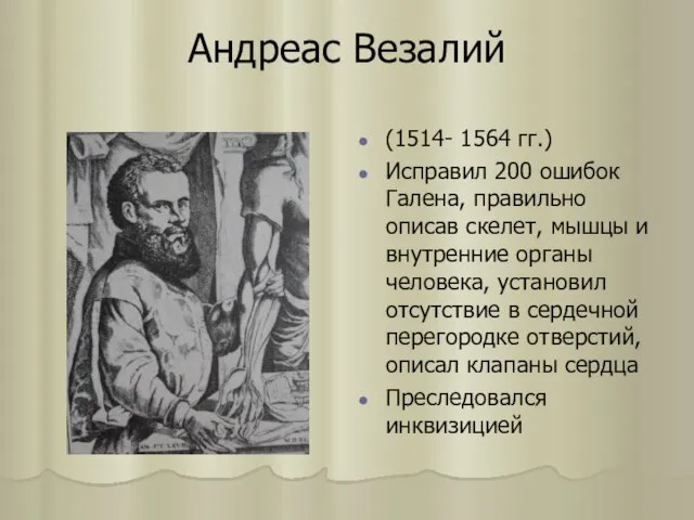 Андреас Везалий (1514- 1564 гг.) Исправил 200 ошибок Галена, правильно описав скелет,