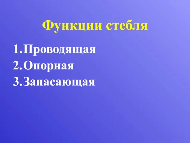 Функции стебля Проводящая Опорная Запасающая