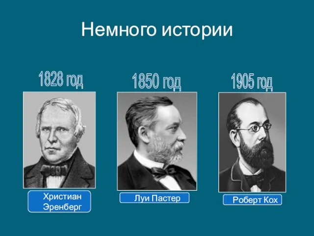 Немного истории