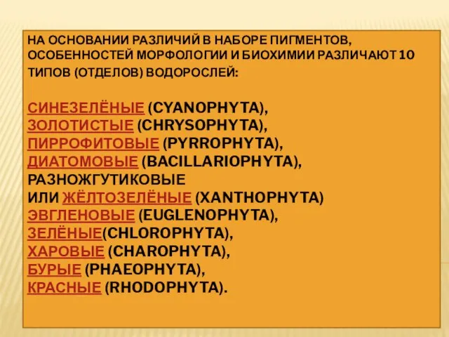 На основании различий в наборе пигментов, особенностей морфологии и биохимии различают 10