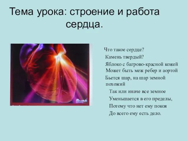 Тема урока: строение и работа сердца. Что такое сердце? Камень твердый? Яблоко