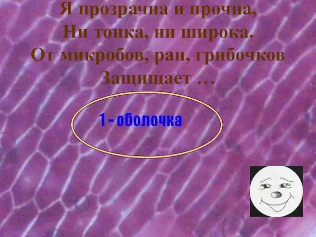 Я прозрачна и прочна, Ни тонка, ни широка. От микробов, ран, грибочков Защищает …