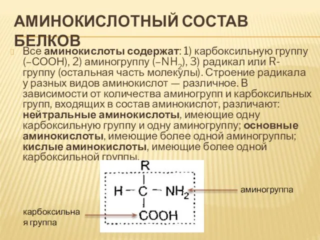Аминокислотный состав белков Все аминокислоты содержат: 1) карбоксильную группу (–СООН), 2) аминогруппу