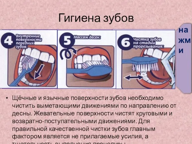 Гигиена зубов Щёчные и язычные поверхности зубов необходимо чистить выметающими движениями по