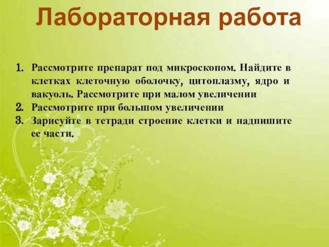 Лабораторная работа Рассмотрите препарат под микроскопом. Найдите в клетках клеточную оболочку, цитоплазму,