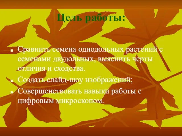 Цель работы: Сравнить семена однодольных растений с семенами двудольных, выяснить черты отличия