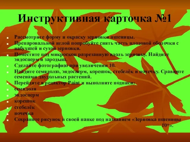 Инструктивная карточка №1 Рассмотрите форму и окраску зерновки пшеницы. Препаровальной иглой попробуйте