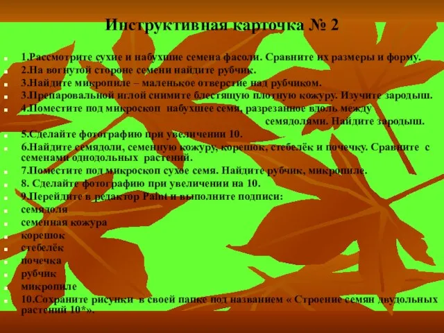 Инструктивная карточка № 2 1.Рассмотрите сухие и набухшие семена фасоли. Сравните их