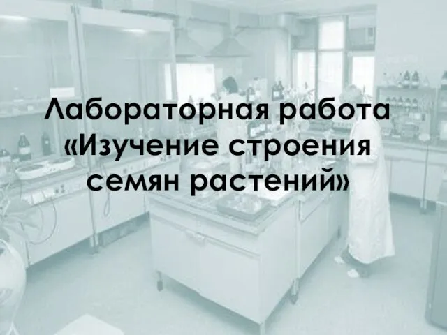 Лабораторная работа «Изучение строения семян растений»