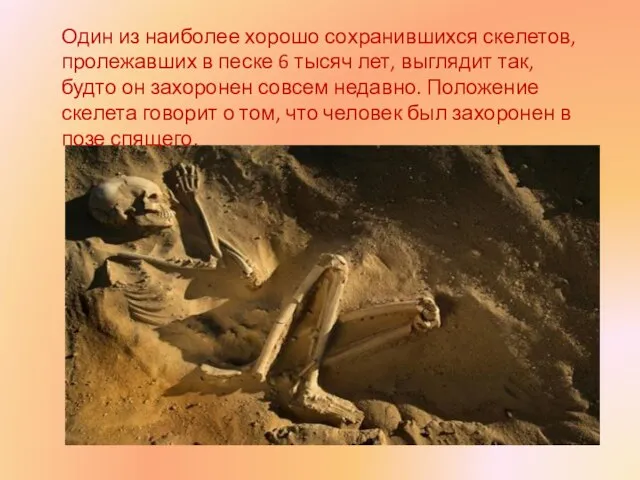 Один из наиболее хорошо сохранившихся скелетов, пролежавших в песке 6 тысяч лет,