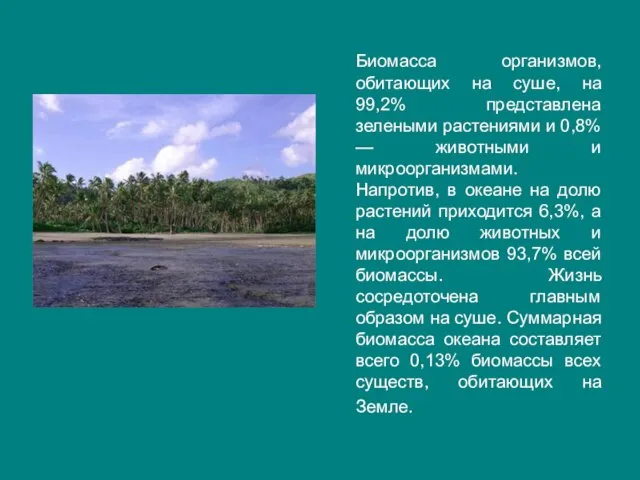 Биомасса организмов, обитающих на суше, на 99,2% представлена зелеными растениями и 0,8%