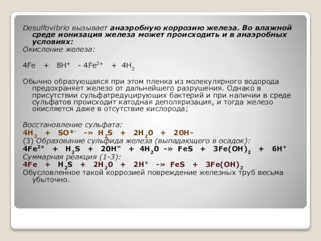 Desulfovibrio вызывает анаэробную коррозию железа. Во влажной среде ионизация железа может происходить