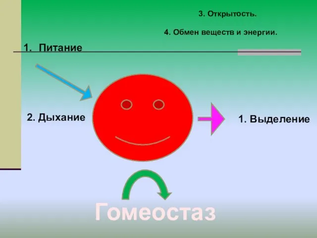 3. Открытость. Питание 2. Дыхание 1. Выделение Гомеостаз 4. Обмен веществ и энергии.