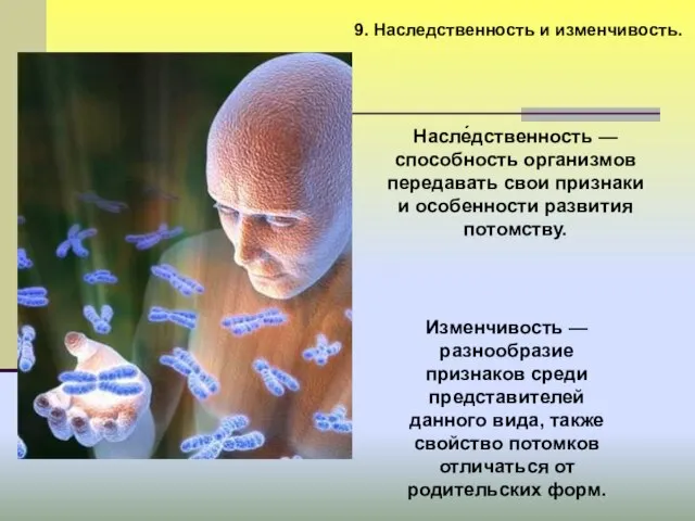 9. Наследственность и изменчивость. Насле́дственность — способность организмов передавать свои признаки и