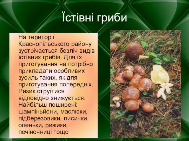 Їстівні гриби На території Краснопільського району зустрічається безліч видів їстівних грибів. Для
