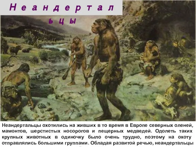 Неандертальцы охотились на живших в то время в Европе северных оленей, мамонтов,