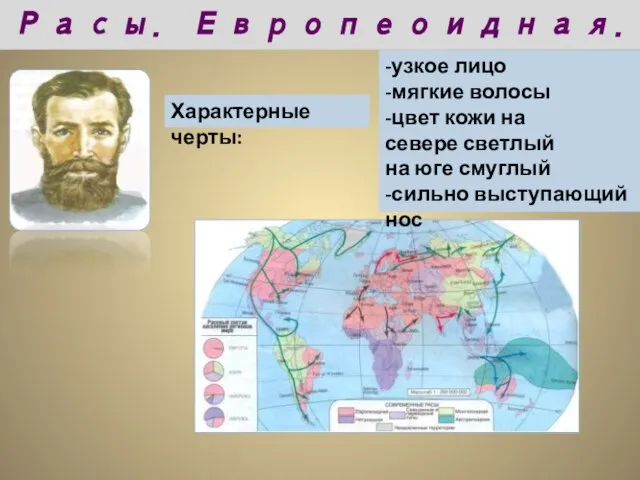 Характерные черты: -узкое лицо -мягкие волосы -цвет кожи на севере светлый на