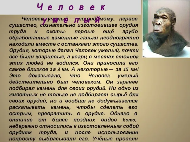 Человек умелый — по-видимому, первое существо, сознательно изготовившее орудия труда и охоты: