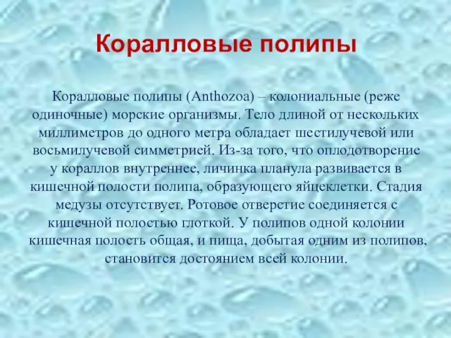 Коралловые полипы Коралловые полипы (Anthozoa) – колониальные (реже одиночные) морские организмы. Тело