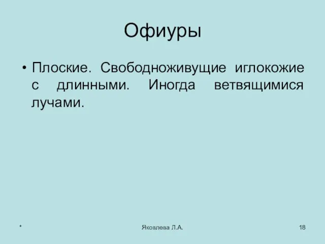 * Яковлева Л.А. Офиуры Плоские. Свободноживущие иглокожие с длинными. Иногда ветвящимися лучами.