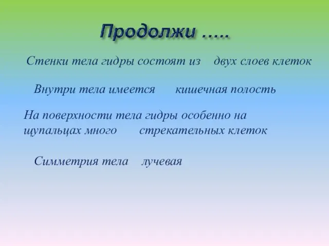 Стенки тела гидры состоят из двух слоев клеток Внутри тела имеется кишечная