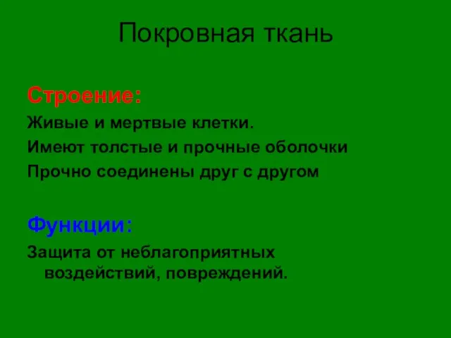 Покровная ткань Строение: Живые и мертвые клетки. Имеют толстые и прочные оболочки