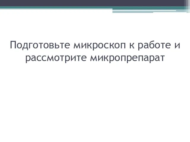 Подготовьте микроскоп к работе и рассмотрите микропрепарат