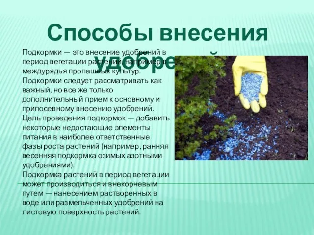 Способы внесения удобрений Подкормки — это внесение удобрений в период вегетации растений,