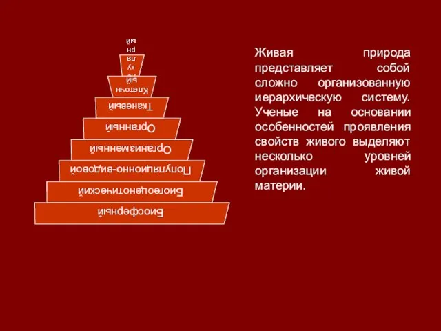 Живая природа представляет собой сложно организованную иерархическую систему. Ученые на основании особенностей