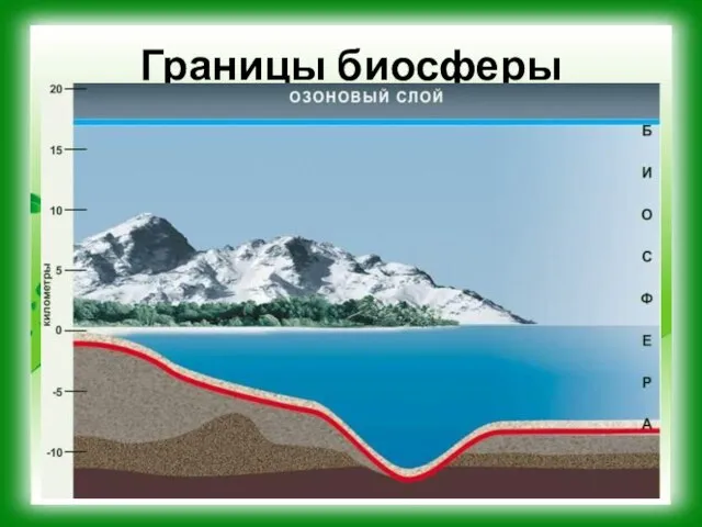 Границы биосферы