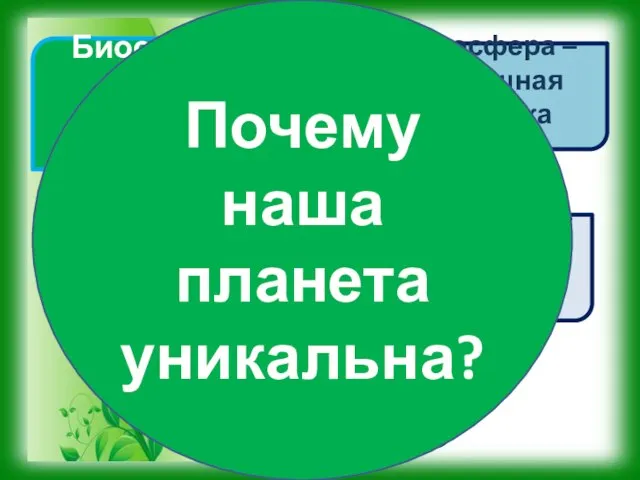 Биосфера – живая оболочка Земли. Атмосфера – воздушная оболочка Земли Гидросфера –