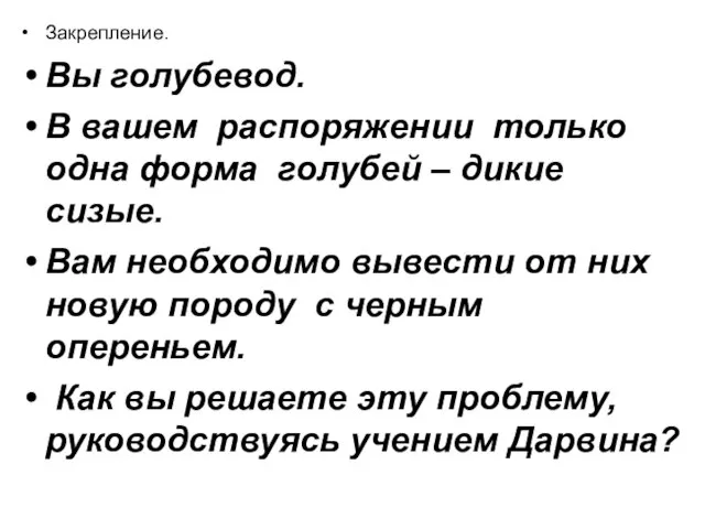 Закрепление. Вы голубевод. В вашем распоряжении только одна форма голубей – дикие