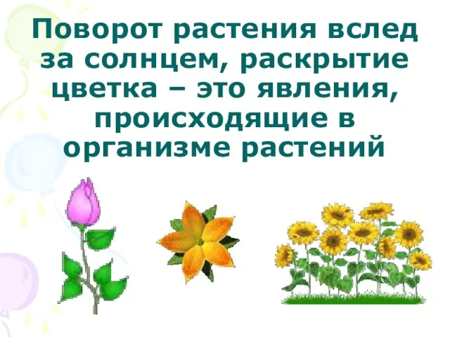 Поворот растения вслед за солнцем, раскрытие цветка – это явления, происходящие в организме растений