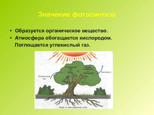 Значение фотосинтеза Образуется органическое вещество. Атмосфера обогащается кислородом. Поглощается углекислый газ.