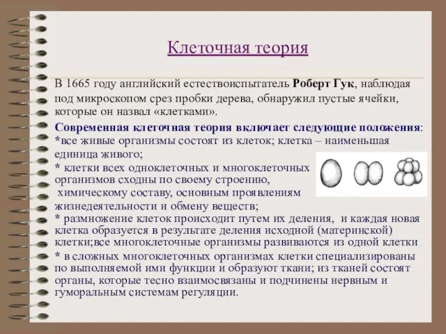 Клеточная теория В 1665 году английский естествоиспытатель Роберт Гук, наблюдая под микроскопом