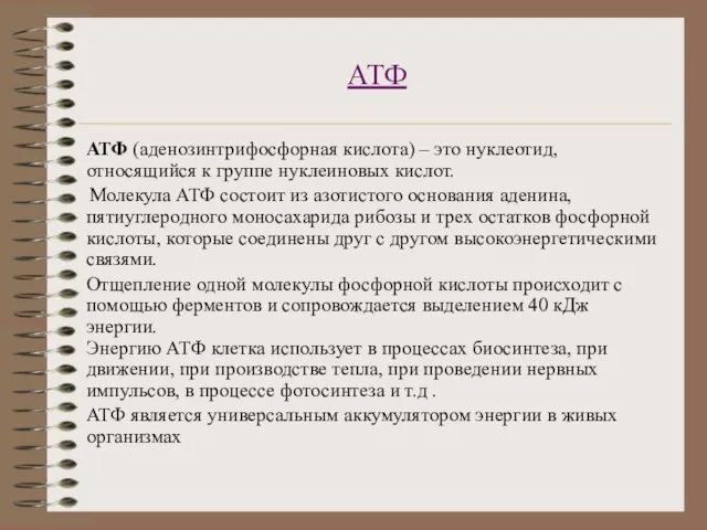 АТФ АТФ (аденозинтрифосфорная кислота) – это нуклеотид, относящийся к группе нуклеиновых кислот.