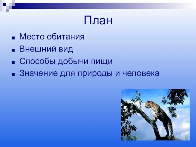 План Место обитания Внешний вид Способы добычи пищи Значение для природы и человека