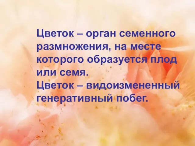 Цветок – орган семенного размножения, на месте которого образуется плод или семя.