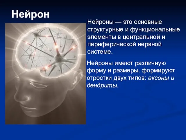 Нейрон Нейроны — это основные структурные и функциональные элементы в центральной и