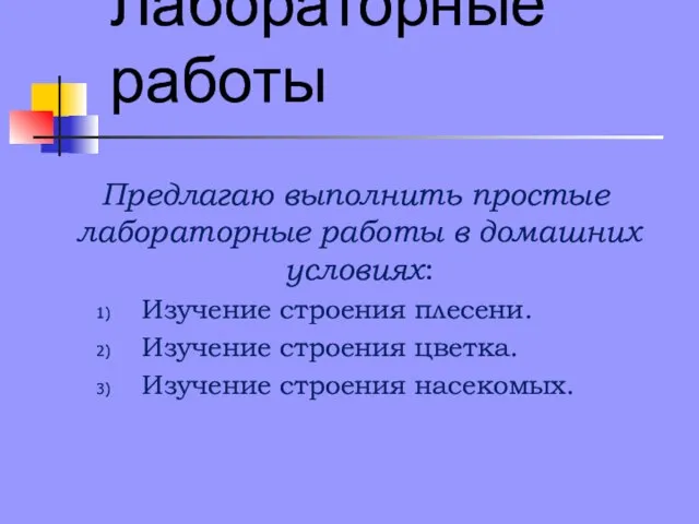 Лабораторные работы Предлагаю выполнить простые лабораторные работы в домашних условиях: Изучение строения