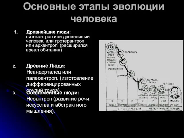 Основные этапы эволюции человека 1. Древнейшие люди: питекантроп или древнейший человек, или