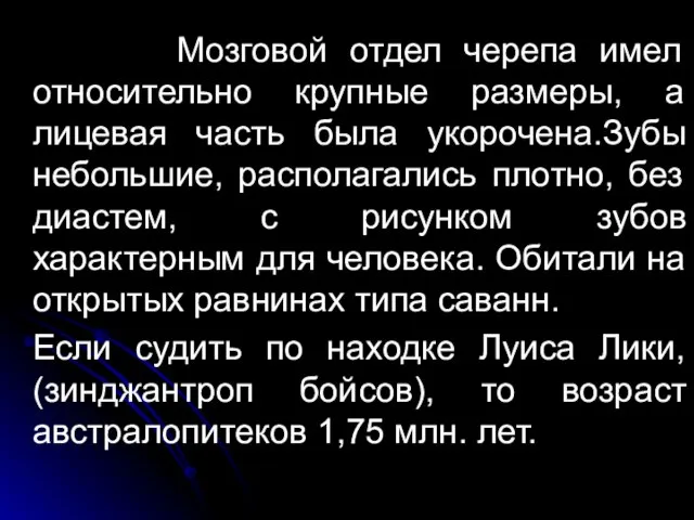 Мозговой отдел черепа имел относительно крупные размеры, а лицевая часть была укорочена.Зубы