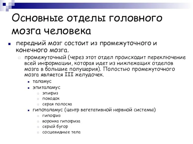 Основные отделы головного мозга человека передний мозг состоит из промежуточного и конечного