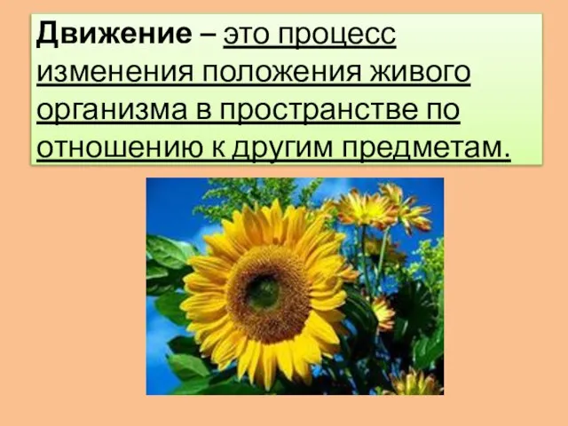 Движение – это процесс изменения положения живого организма в пространстве по отношению к другим предметам.