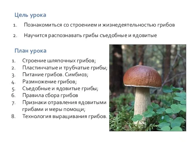 Познакомиться со строением и жизнедеятельностью грибов Научится распознавать грибы съедобные и ядовитые