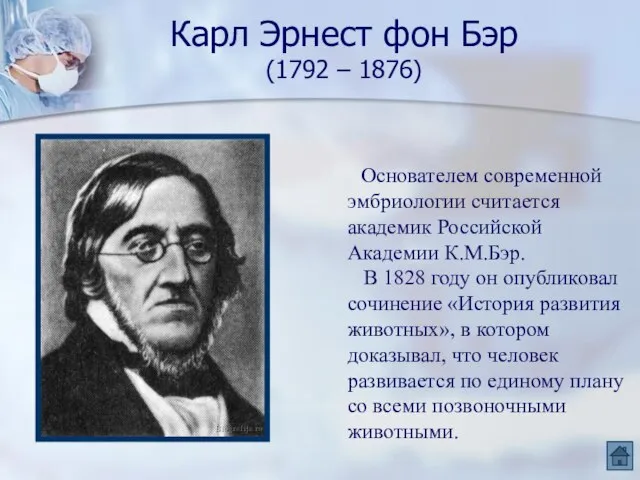 Карл Эрнест фон Бэр (1792 – 1876) Основателем современной эмбриологии считается академик