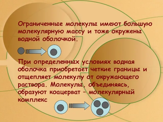 Ограниченные молекулы имеют большую молекулярную массу и тоже окружены водной оболочкой. При