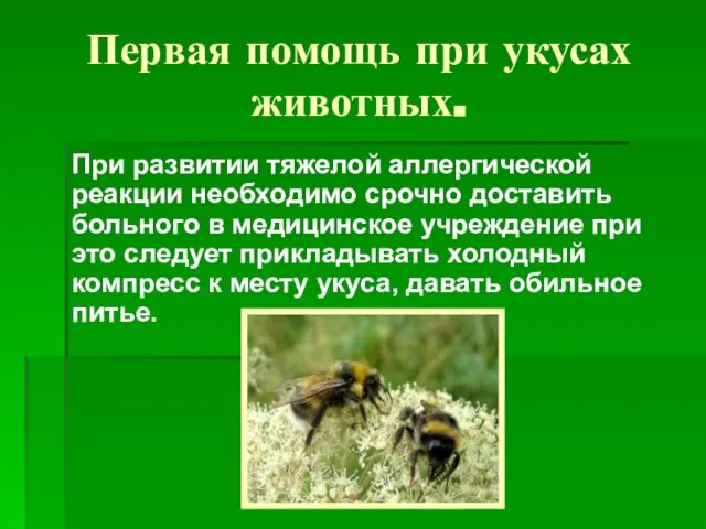 Первая помощь при укусах животных. При развитии тяжелой аллергической реакции необходимо срочно