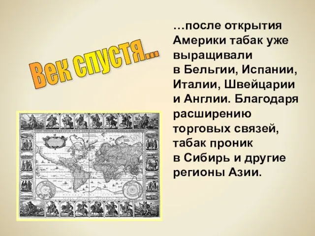 Век спустя... …после открытия Америки табак уже выращивали в Бельгии, Испании, Италии,